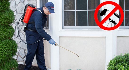 Selçuklu Akrep İlaçlama böcek ilaçlama ve haşere kontrolü — ilaclama-tr.com